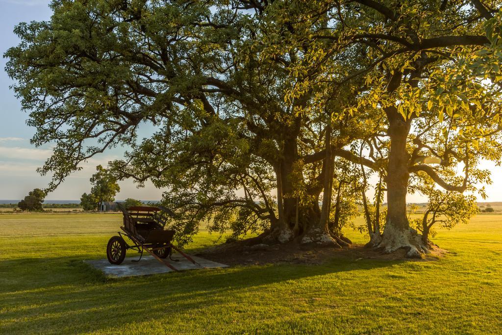 Las Martinas Colonia del Sacramento Zewnętrze zdjęcie